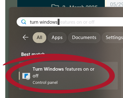 Getting the Features Switches in Windows