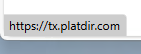 Fake site url